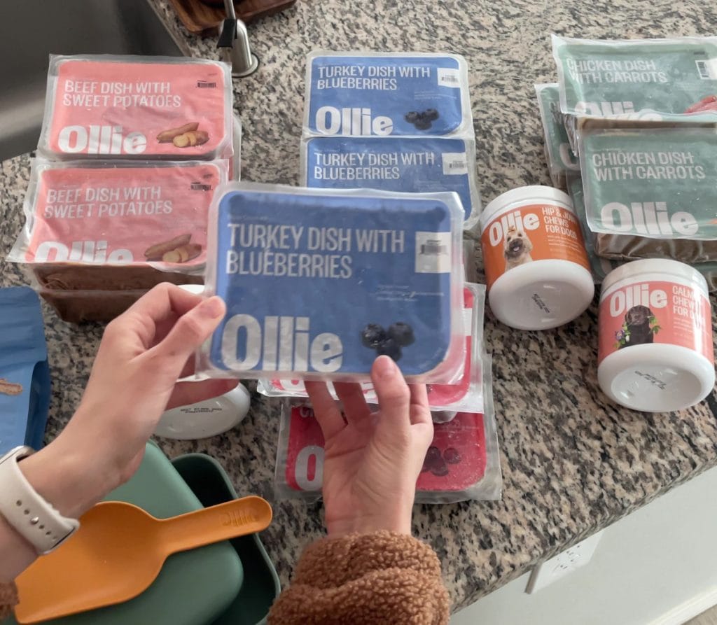 Doberman owner showing Ollie dog food.