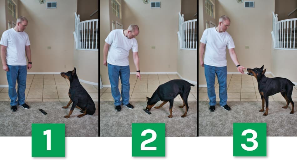 Find the Remote Control