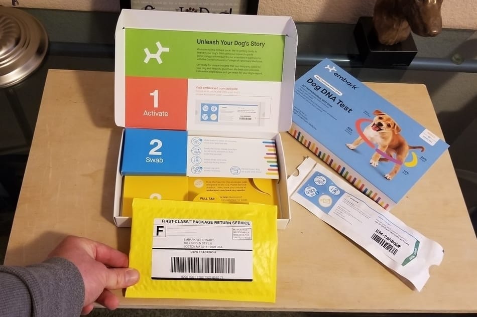 The return envelope included in the test kit.